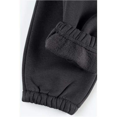 Мужские брюки из футера с начесом Happyfox