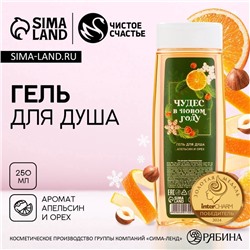 Гель для душа «Чудес в Новом Году!», 250 мл, аромат апельсина и орехов, Чистое счастье