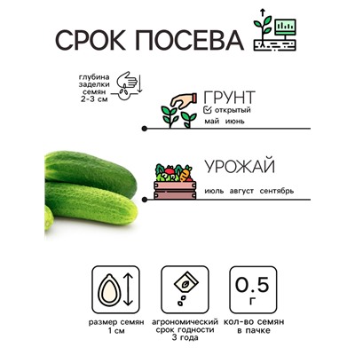 Семена Огурец «Феникс», пчелоопыляемый, среднеспелый, 0.5 г
