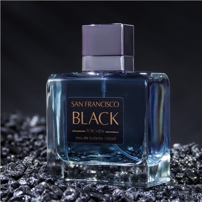 Туалетная вода мужская RM San Francisco Black, 100 мл