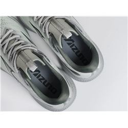 Кроссовки Mizuno ASTRO PLUS