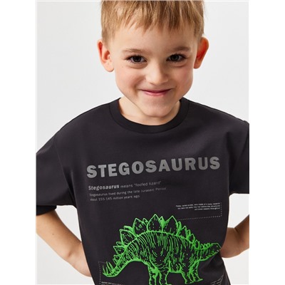 Acoola Футболка 20120510244