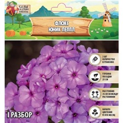 Флокс "Юник Пеппл" р-р I, 2 шт, Весна 2025
