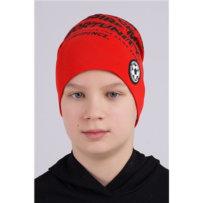 Шапка CLEVER, 1042654