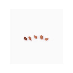 Семена цветов Петуния "Яромнерже", 5 шт.