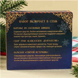 Подарочный набор новогодний «Будьте здоровы»: чай 20 г, варенье из сосновых шишек 30 г, бальзам 100 мл.