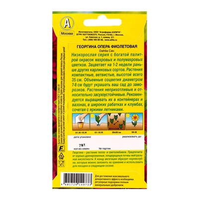 Семена цветов Георгина «Опера», фиолетовая, 7 шт., «АЭЛИТА»