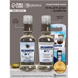 Подарочный набор «Абсолютно лучший»: гель для душа и шампунь для волос водка, 2×250 мл, Чистое счастье
