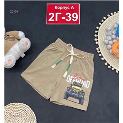 шорты 1921094-1