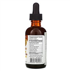 North American Herb & Spice, Chag-O-Power, Wild, Raw Emulsified Chaga Mushroom, 2 fl oz (60 ml)