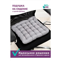 Подушка для мебели Bio-Line с гречневой лузгой PSG25 НАТАЛИ, 879653