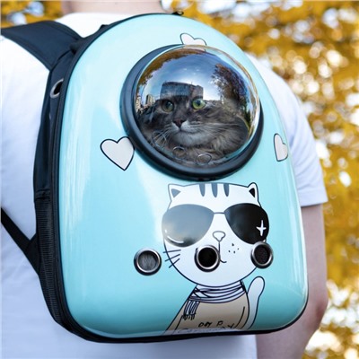 Рюкзак для переноски кошек «Гламуррр», 32×25×42 см, с окном для обзора, голубой