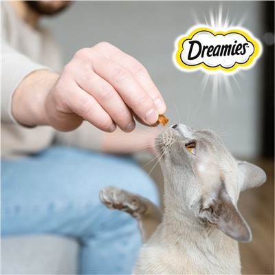 Лакомство Dreamies для кошек, говядина, 140 г