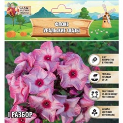 Флокс "Уральские сказы" р-р I, 2 шт, Весна 2025