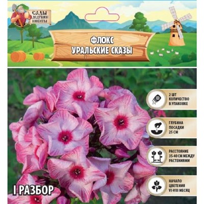 Флокс "Уральские сказы" р-р I, 2 шт, Весна 2025