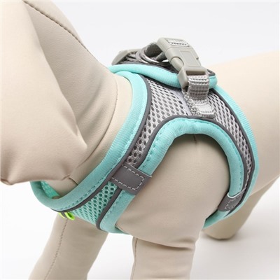 Шлейка с поводком, размер S, ОШ 33-36 см, ОГ 35-40 см, поводок150×1.5 см, ОШ 33-36 см, ОГ 35-40 см, быстросъёмная, мягкая, бирюзовая