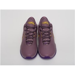 Кроссовки Nike Lebron XXI