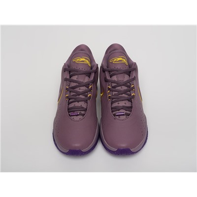 Кроссовки Nike Lebron XXI
