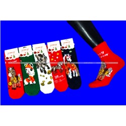 MORRAH носки подарочные НОРКА КАШЕМИР Символ 2026 года арт. 2659