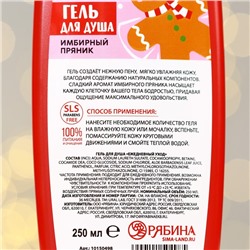 Гель для душа, 250 мл, аромат имбирного пряника, URAL LAB