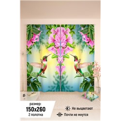 Фотошторы 10808 (Колибри)