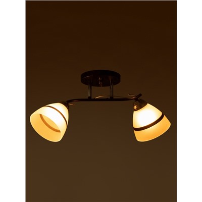 Люстра потолочная BayerLux «Лайма», 2хЕ27, 40 Вт, черно-хромовый, 50×15×24 см