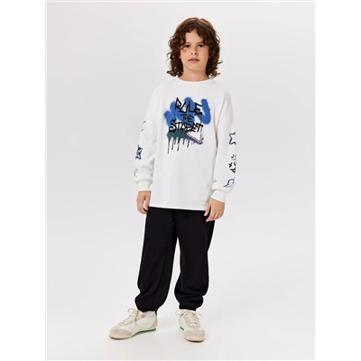 Acoola Брюки 20110460117