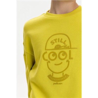 Толстовка для мальчиков PELICAN, 1236461