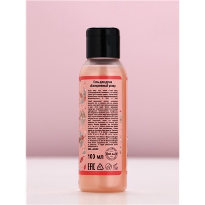 Новогодний подарочный набор косметики «Исполнения желаний»: гель для душа 100 мл и мочалка для тела, Чистое счастье