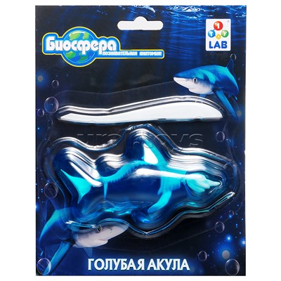 Познавательная анатомия, мини набор "Голубая акула" 14х18см