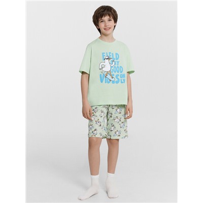 КОМПЛЕКТ ДЛЯ МАЛЬЧИКОВ (ДЖЕМПЕР, ШОРТЫ) 563327