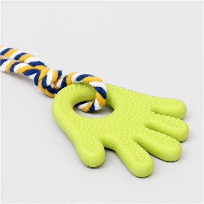 Игрушка жевательная для собак «Ладошка», 10 см, с канатом, салатовая