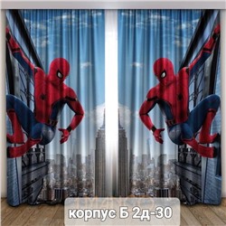 Портьеры с принтом, 3*2,6 см (без тюля)