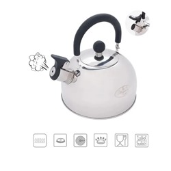 Merali Чайник ЧН15-01