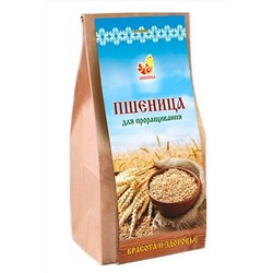 Пшеница зерно для проращивания пакет 500г ЭКОПРОДУКТЫ, 1182543