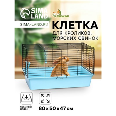 Клетка для кроликов, морских свинок «Пижон» №4 складная, 80×50×47 см, бирюзовая
