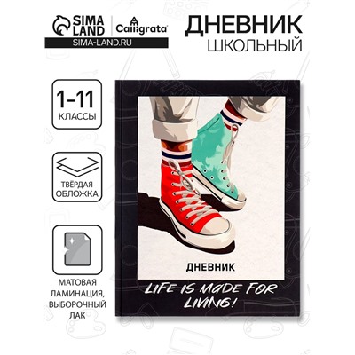 Дневник школьный для 1-11 классов, «Кеды зелено-красные», твёрдая обложка 7БЦ, матовая ламинация, выборочный лак, 40 листов