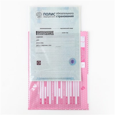 Папка для медицинского полиса «Мишка», 17.5×11.3 см