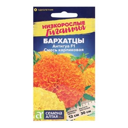 Семена цветов Бархатцы Антигуа, смесь карликовая, Сем. Алт, ц/п, 5 шт