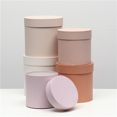 Набор круглых коробок 5 в 1 «Нюд», 20×20×20 - 11×11×11 см