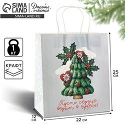 Пакет подарочный новогодний «Чудеса», белый крафт, 22×25×12 см