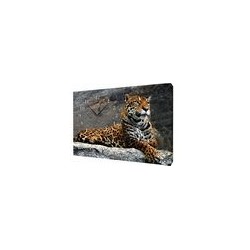 Часы настенные 25*35см часы на холсте Сюжет Ж926