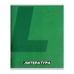 Тетрадь предметная, 36 листов в линейку, Calligrata «MonoTone. Литература», серые листы