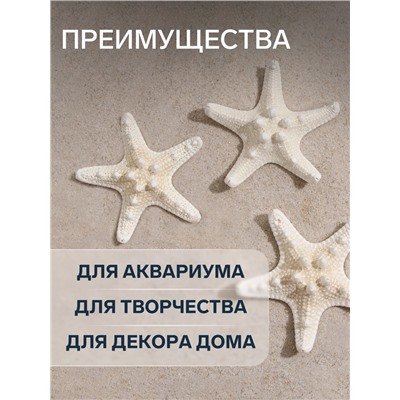 Набор из 3 морских звезд, размер каждой 5-10 см, белые