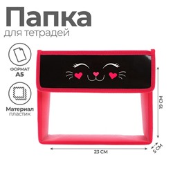 Папка для тетрадей, А5, пластиковая, 23×19×5 см «Мордочка кота»