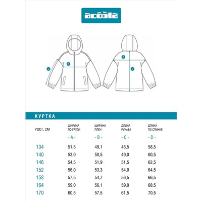 Acoola Куртка 20110650039