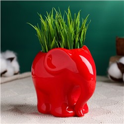 Декоративный горшок для цветов «Слоник», 350 мл, 12×8.5×10 см, керамический, красный