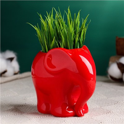 Декоративный горшок для цветов «Слоник», 350 мл, 12×8.5×10 см, керамический, красный