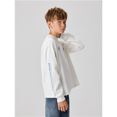 Acoola Джемпер 20110150101