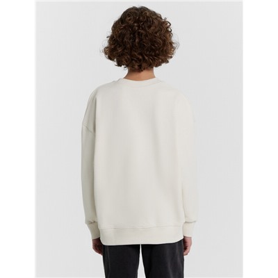 СВИТШОТ ДЛЯ МАЛЬЧИКОВ 123437/1